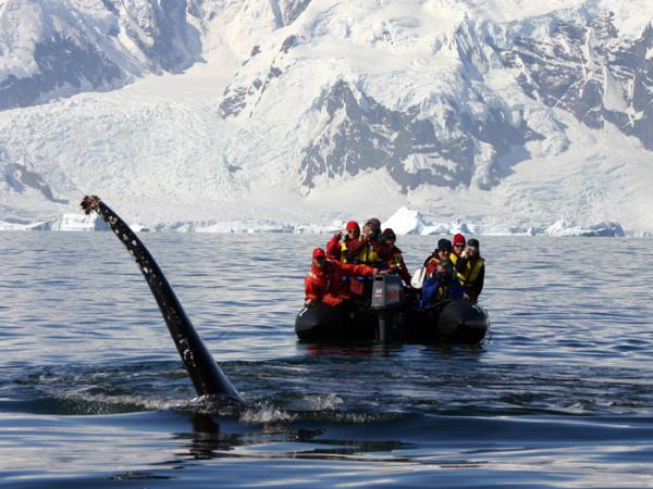 Antarctic Peninsula expedition cruise