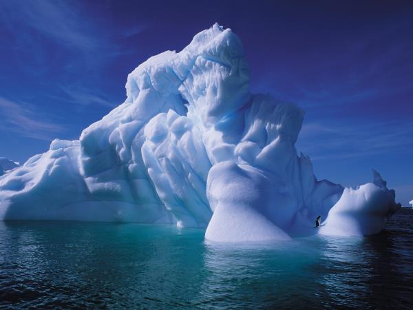 Antarctica, Falklands & South Georgia cruise