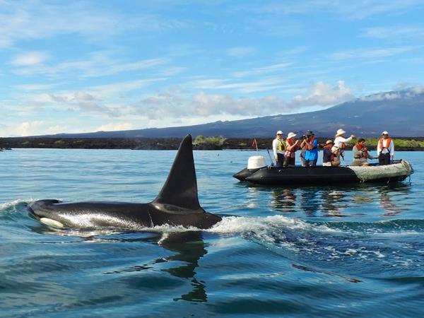 Galapagos wildlife cruise