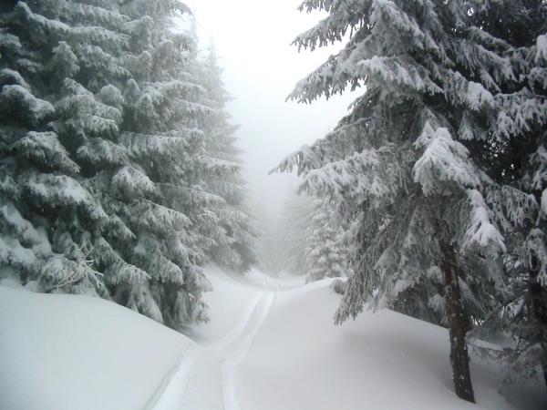 Romania ski touring vacation