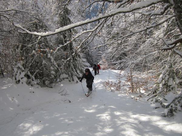 Romania ski touring vacation