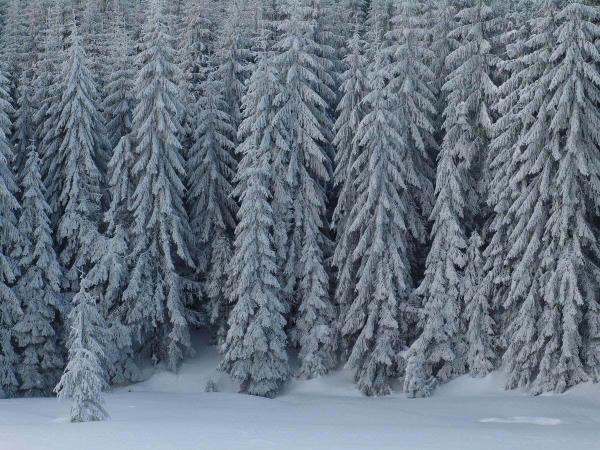 Romania ski touring vacation