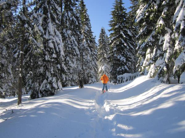 Romania ski touring vacation