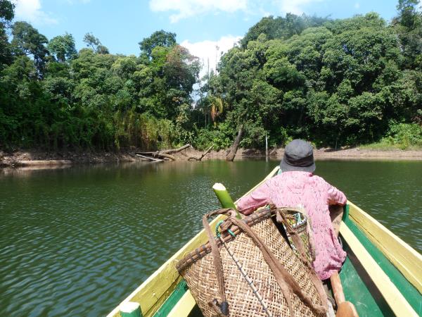 Borneo 8 day tour, the wild heart of Borneo 