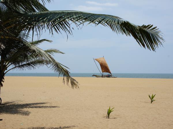 Sri Lanka highlights vacation