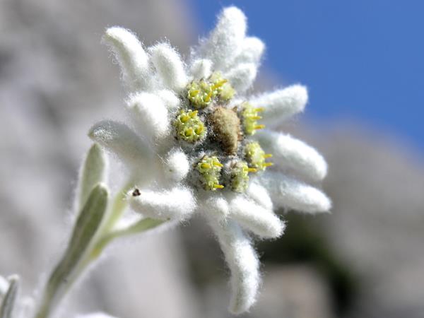 Bulgaria trekking vacation, guided