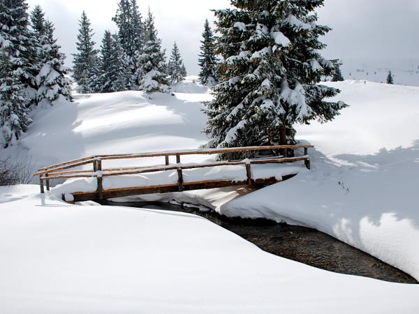 Bulgaria snowshoeing vacation