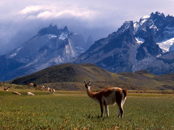 Patagonia vacation, Argentina and Chile