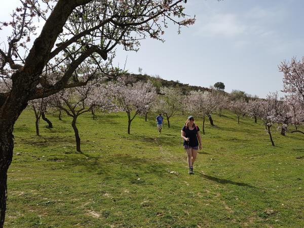 Spain hiking vacation, Walking in blossom