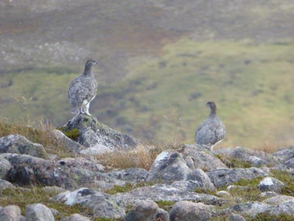 Scotland self guided walking vacation