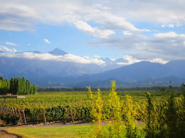 Tailor made vacation to Northern Argentina