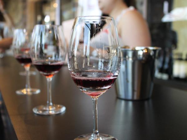 Mendoza wine tour in Argentina