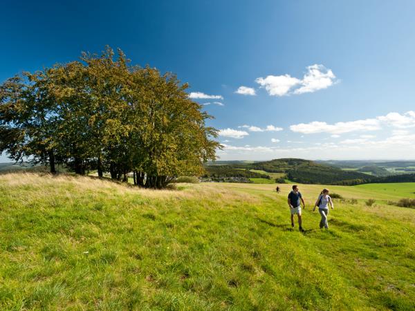 Eifel hiking and culinary tour in Germany