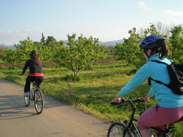 Greece biking vacation, archaeology tour