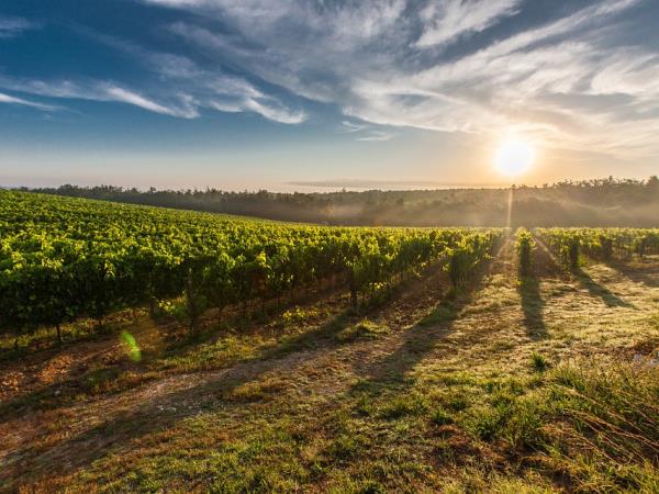 Bordeaux wine tour and Bay of Arcachon vacation
