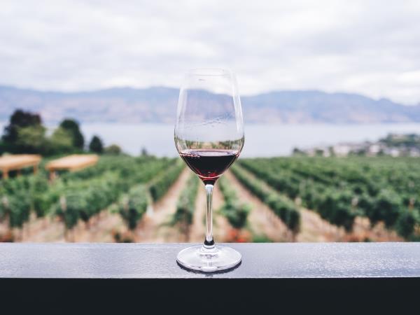 Bordeaux wine tour and Bay of Arcachon vacation
