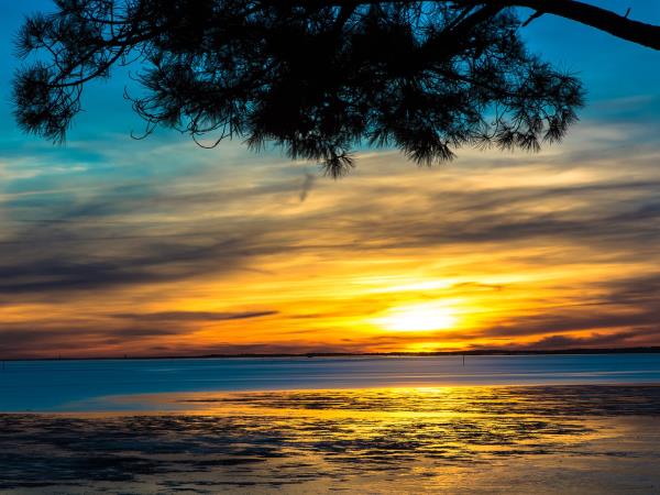 Bordeaux wine tour and Bay of Arcachon vacation