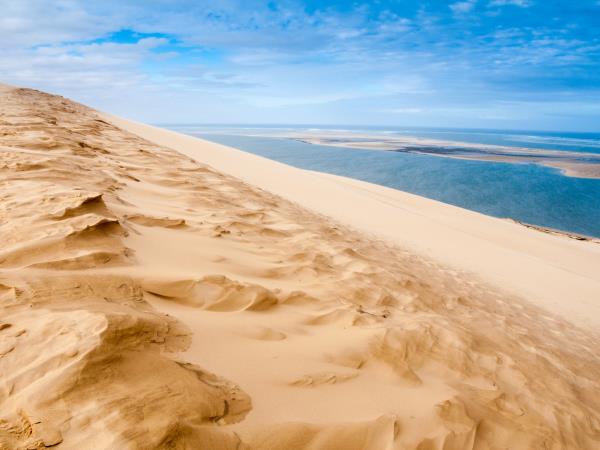 Bordeaux wine tour and Bay of Arcachon vacation