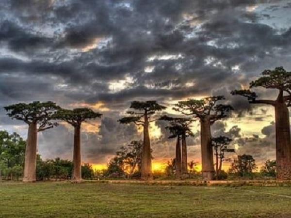 Madagascar Luxury tour, 12 days