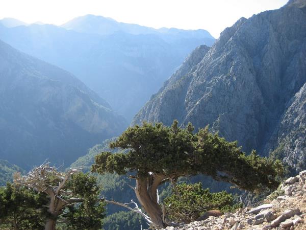 Crete self-guided walking holiday, Greece