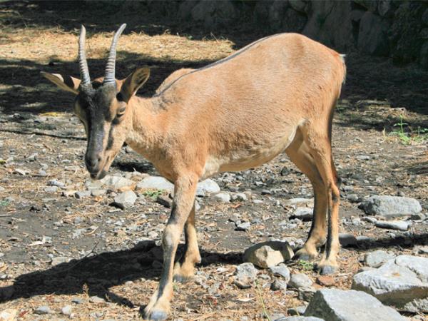 Crete self-guided walking holiday, Greece