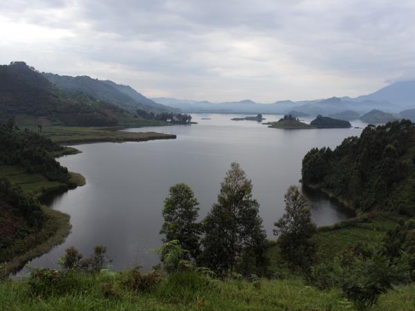 Best of Uganda wildlife tour