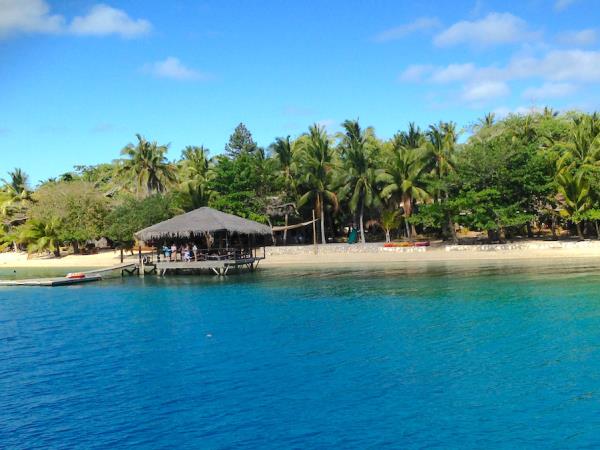 Swim with humpback whales, Tonga