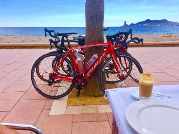 Challenging road cycling vacation in Spain