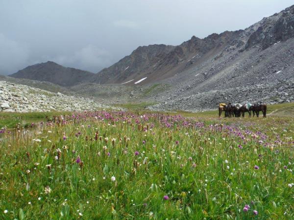 Kazakhstan horse riding holiday