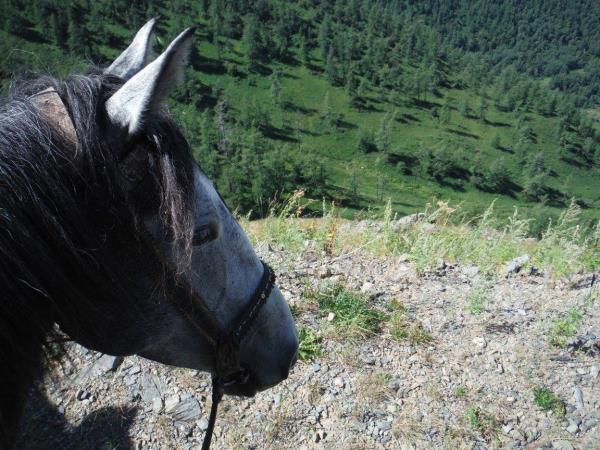 Kazakhstan horse riding holiday