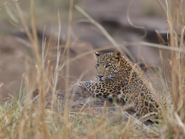 Central India vacation, journey through Chhattisgarh