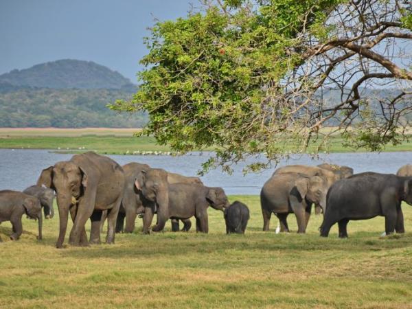 Sri Lanka Family vacations