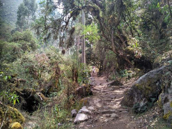 Hike the Lares trek in Peru