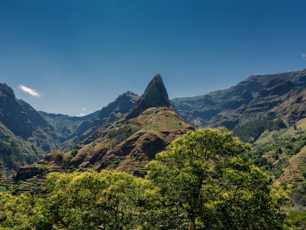 Madeira tailor made vacation, wildlife & nature