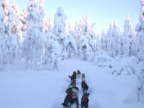 Northern Lights vacation in Lapland