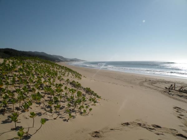 Kwa Zulu Natal self drive vacation