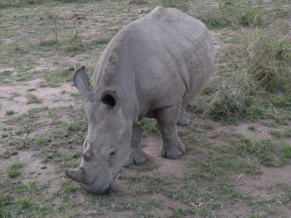 Kwa Zulu Natal self drive vacation