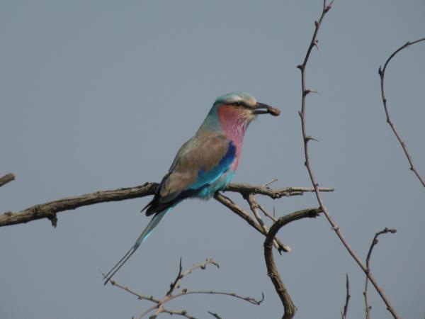 Kwa Zulu Natal self drive vacation
