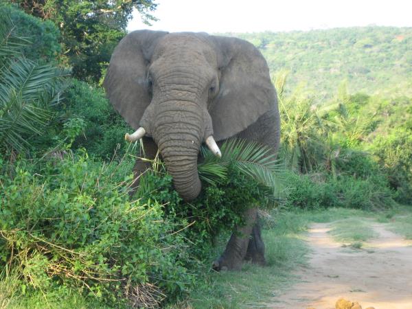 Kwa Zulu Natal self drive vacation