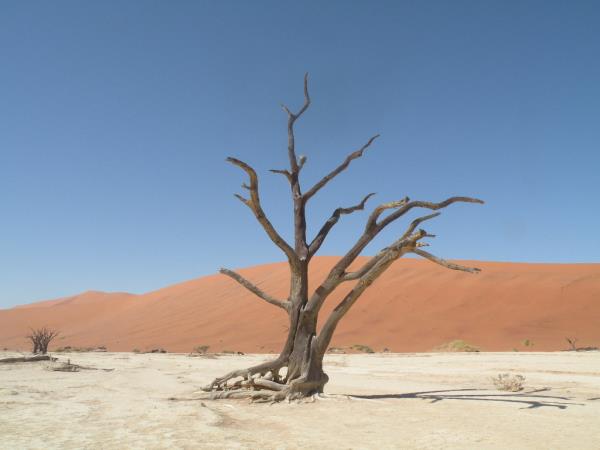 Privately guided Namibia vacation