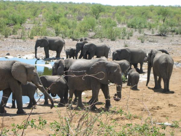 Privately guided Namibia vacation