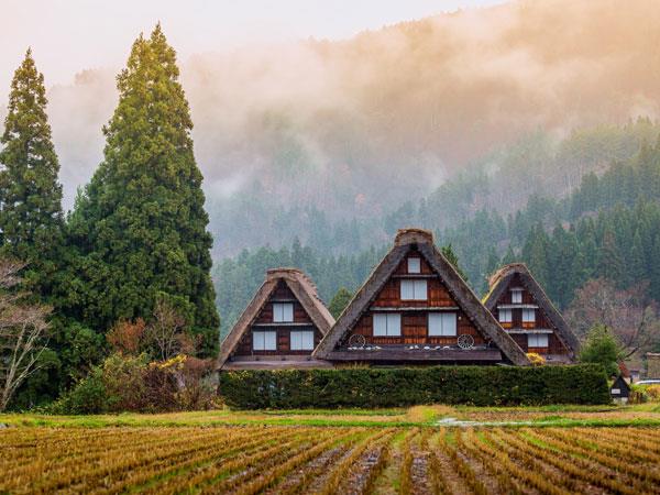 Biking vacation in Japan