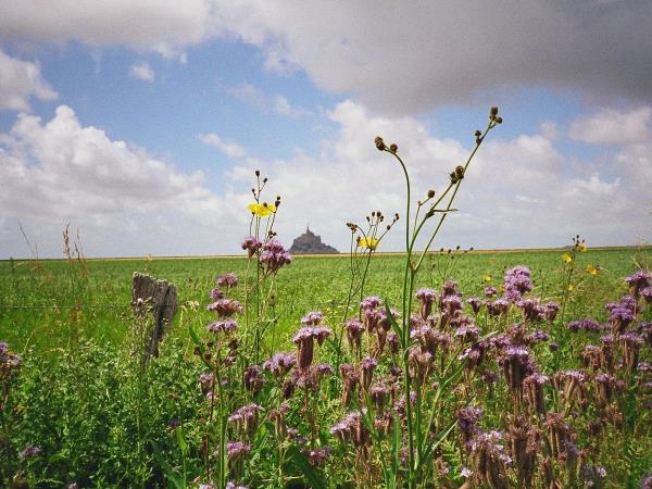 Mont Saint Michel self guided cycling tours in Normandy & Brittany