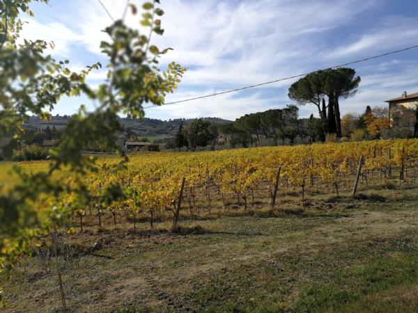 Umbria tour, Italy