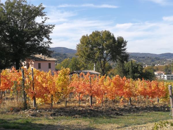 Umbria tour, Italy