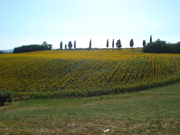Umbria tour, Italy