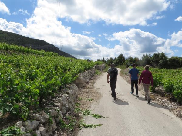 Walking and wine tasting vacation in Dubrovnik, Croatia