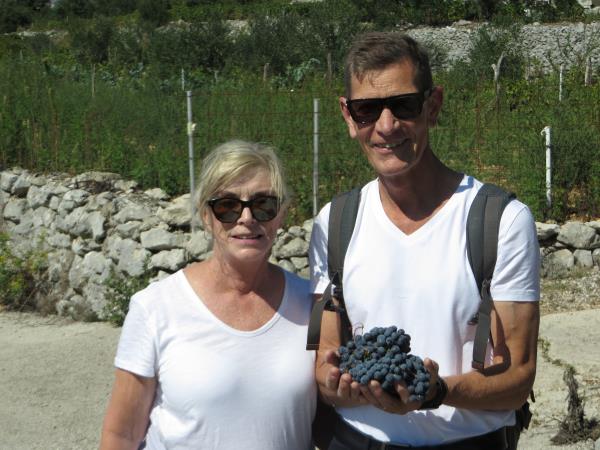Walking and wine tasting vacation in Dubrovnik, Croatia