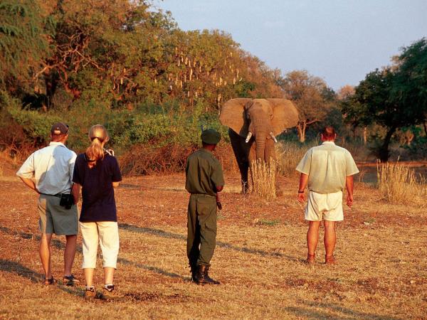 Zambia walking safari, tailor made