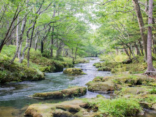 Nikko and Yumoto Onsen walking tour, Japan